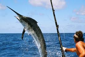 sport fishing in the Mexican carribean sea